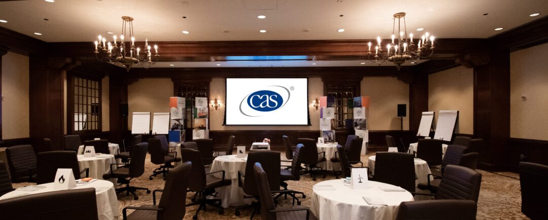 Houston TX technology consulting firms